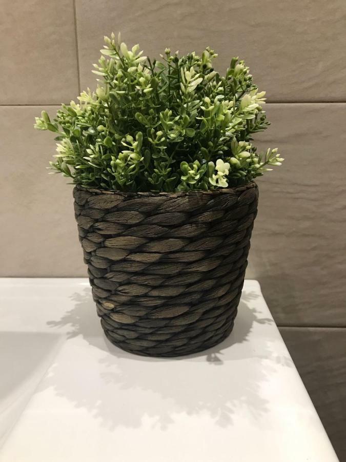Apartamentos Alameda Ronda Kültér fotó